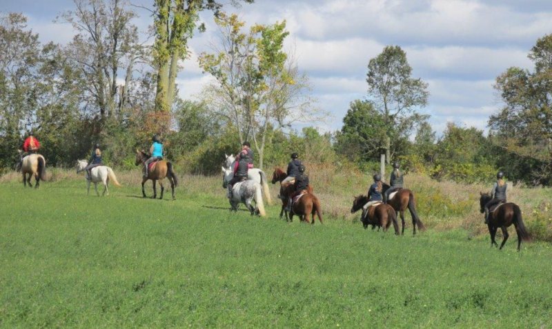 2018 hoofbeat challenge at Sunrise